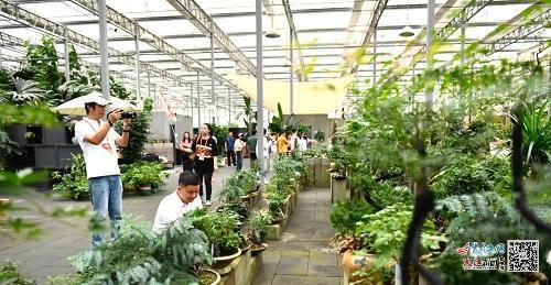 广信区打造中草药“植物工厂” 自然与科技共生的旅游新体验